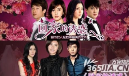 电视剧在线播放,电视剧在线播放的精彩回顾